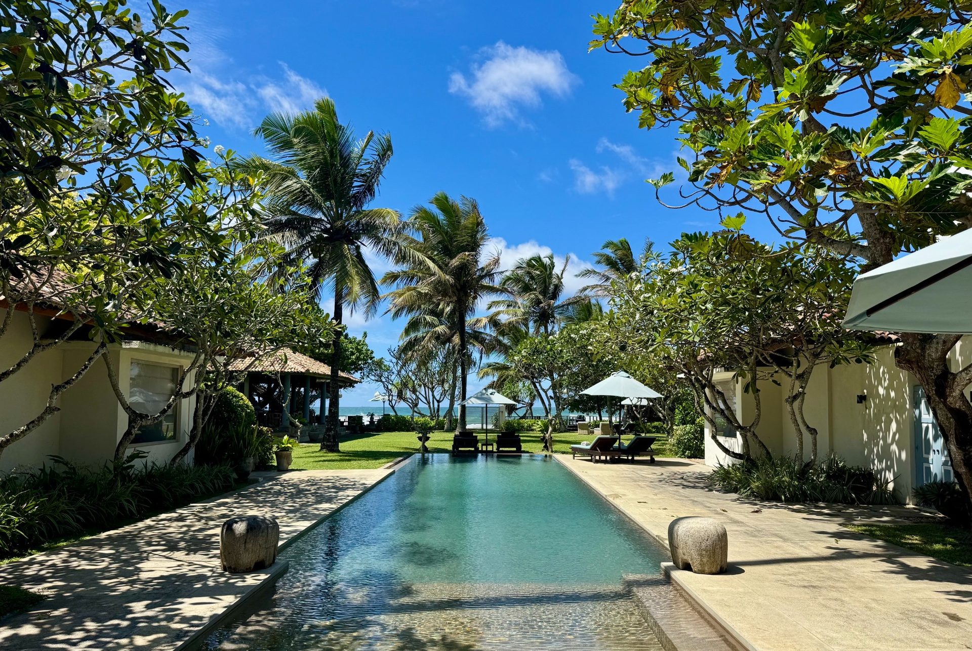 Elysium Villa — pool and garden